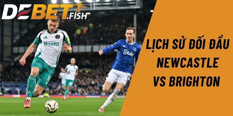Phân tích và soi kèo Newcastle vs Brighton 21H ngày 19/10 2 Nhìn lại lịch sử đối đầu của Newcastle vs Brighton trước trận 21H ngày 19/10
