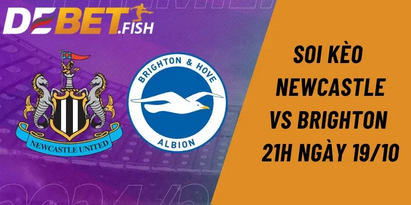 Phân tích và soi kèo Newcastle vs Brighton 21H ngày 19/10 3 soi kèo Newcastle vs Brighton 21H ngày 19/10
